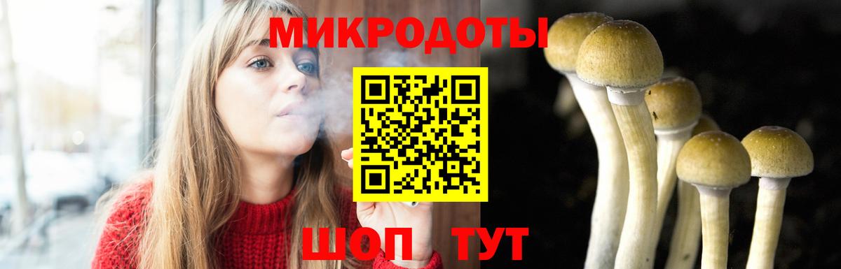 Псилоцибиновые грибы Magic Shrooms Троицк